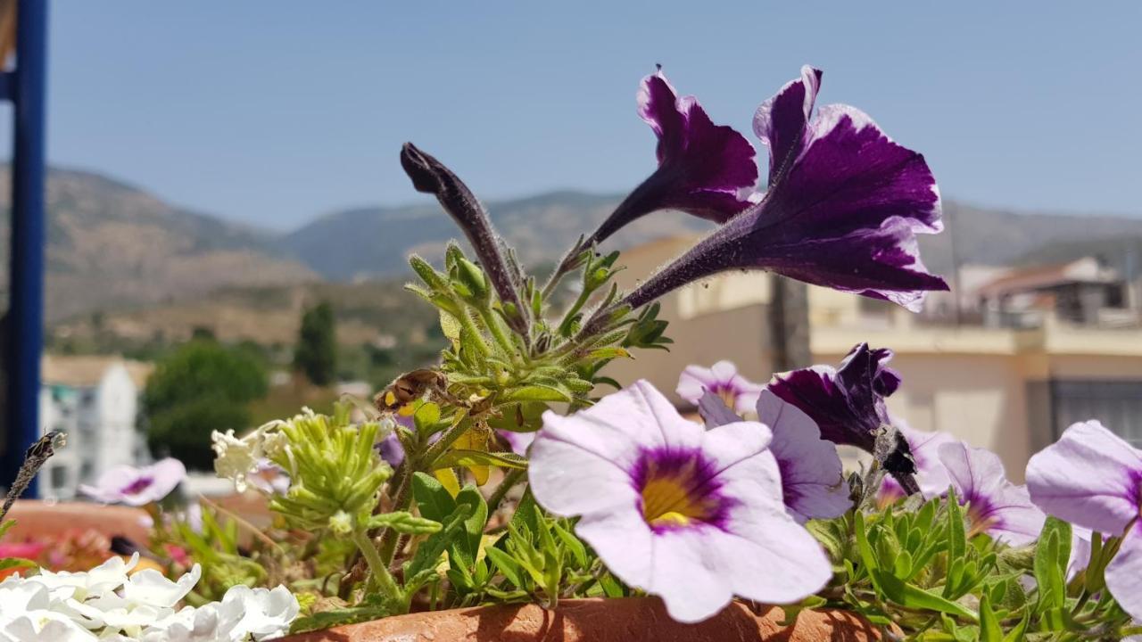 Posada Alpujarra Sol Orgiva Exteriör bild