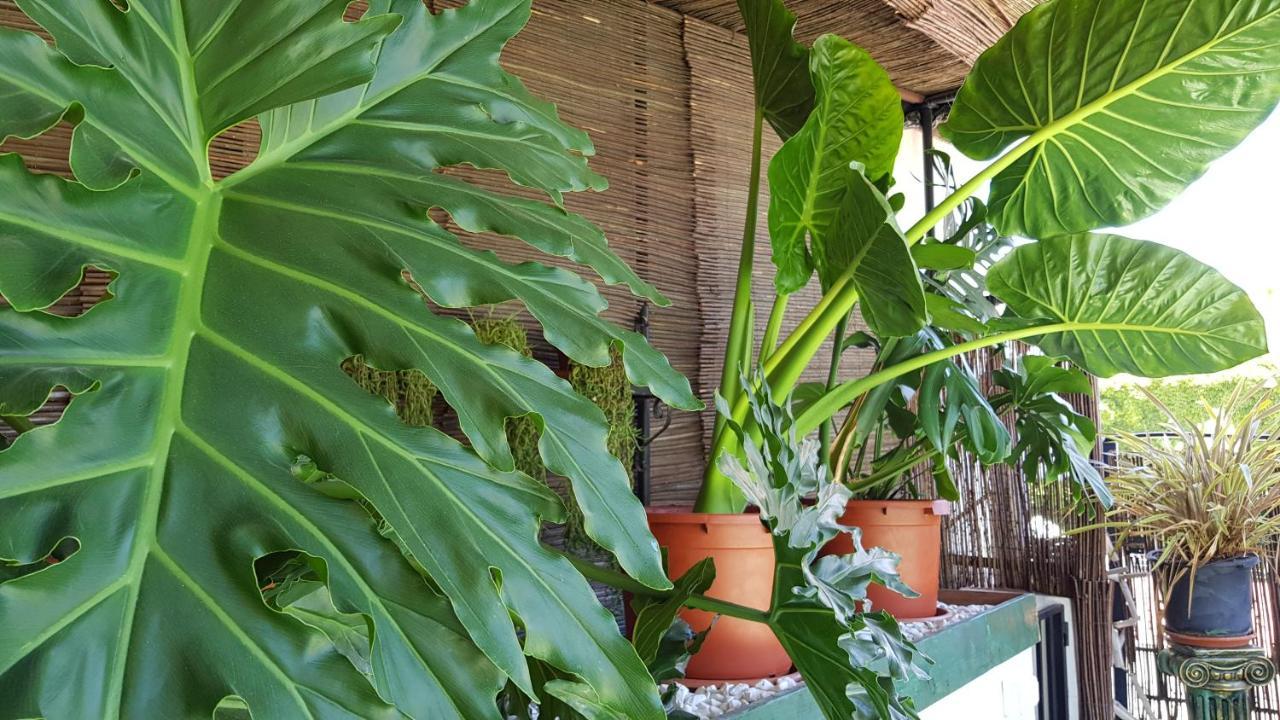 Posada Alpujarra Sol Orgiva Exteriör bild